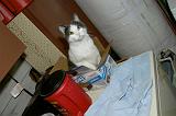 20050120_Kitty Kat_071